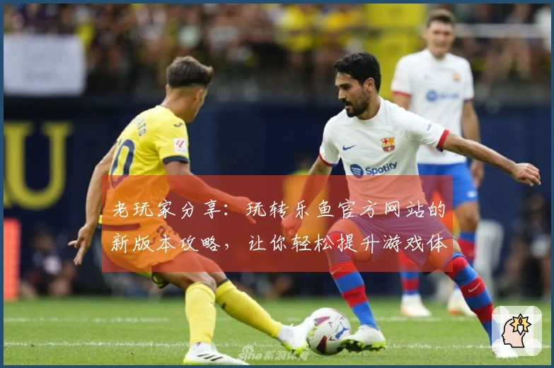 老玩家分享：玩转乐鱼官方网站的新版本攻略，让你轻松提升游戏体验！