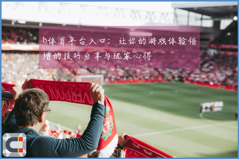 b体育平台入口：让你的游戏体验倍增的技巧分享与玩家心得
