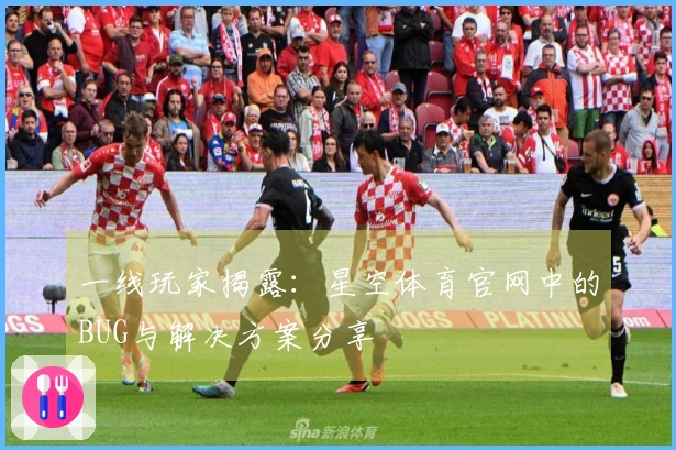 一线玩家揭露：星空体育官网中的BUG与解决方案分享